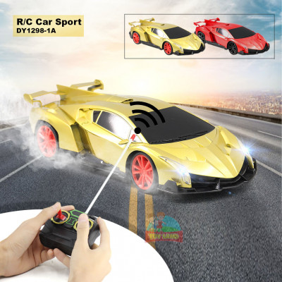 R/C Car Sport : DY1298-1A